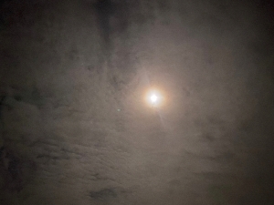 月が綺麗ですね🌕