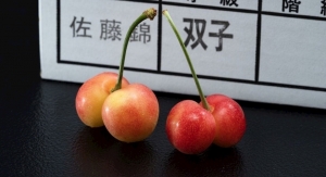 うんうん！それでいい！！！🍒