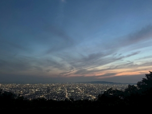 旅用ちゅうのため！