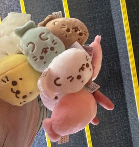 ゲットしましたわよー！！！🦭🌟