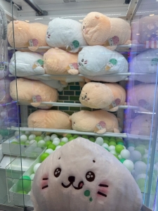 🤍🦭しろたんしろたんしろたんたん🦭🤍