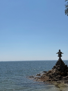 海きれいだった！🪼🤍