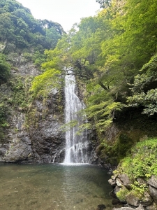 マイナスイオン感じてきた🩵