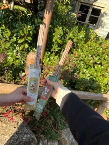 ディズニーフード