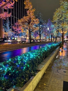 イルミネーション