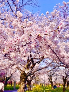 iPhoneの加工ってすごい✨✨✨✨