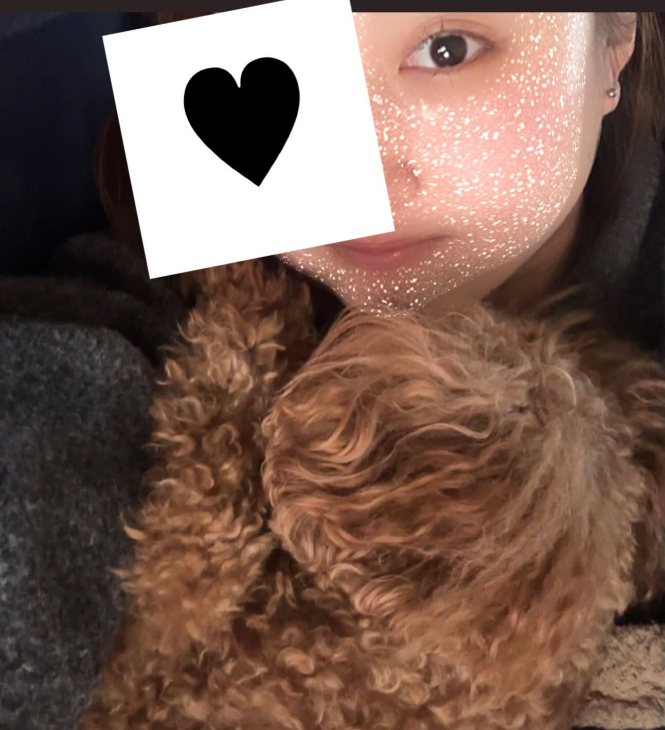 あんといぬです！