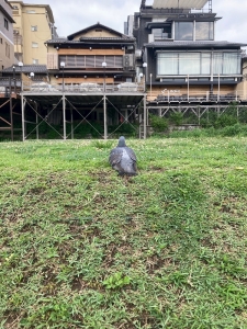 おはようございます