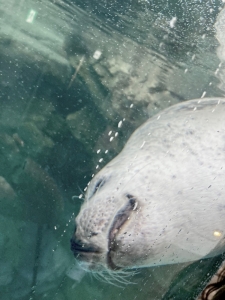 毎日毎日よォ～💢💢💢💢