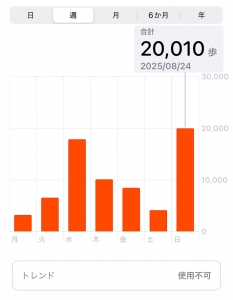 8/24 いつものと違うコスメ買う時ってドキドキするよねドキドキワクワク🫣