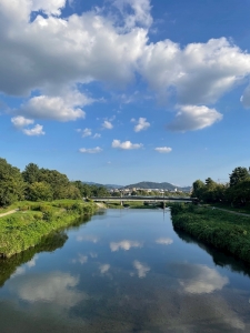 乗り過ごして出会った、、☁️