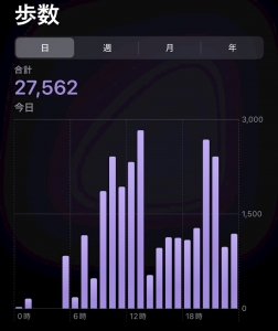 いっぱい歩いた！