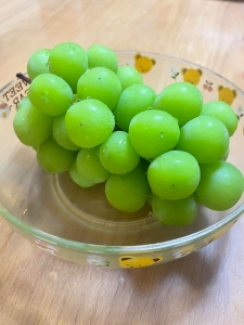 マスカット🍀✨