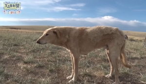 ありがたきこと🎵