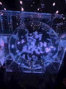 お久しぶりですまたサボってた😭