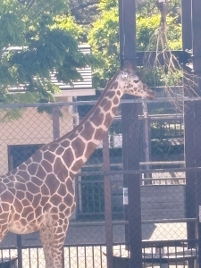 動物園行ったよ✌️