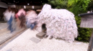 なんとなく～( ᎔˘꒳˘᎔)